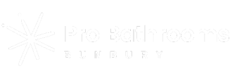 Pro Bathroom Renovations Bunbury, WA Logo Light 512x175